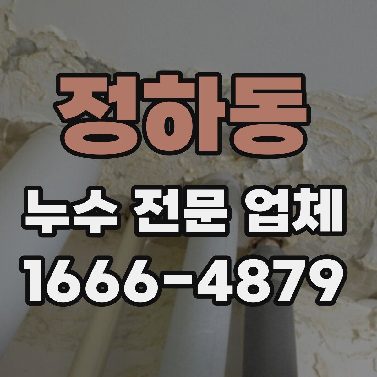 정하동 누수 전문 업체