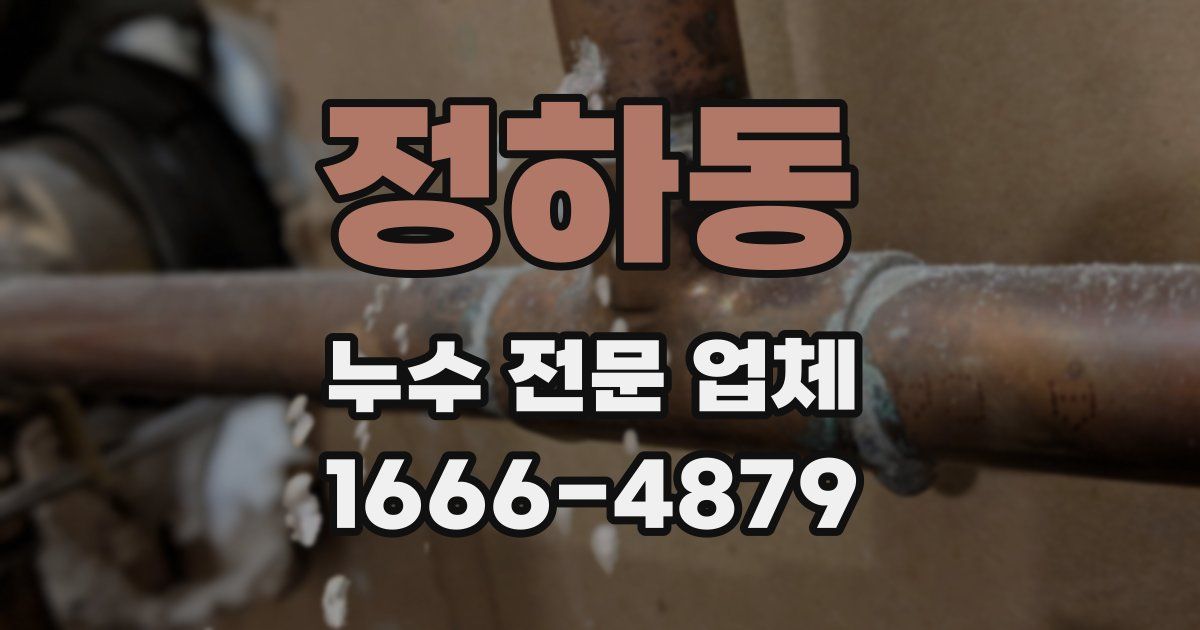 정하동 누수 전문 업체