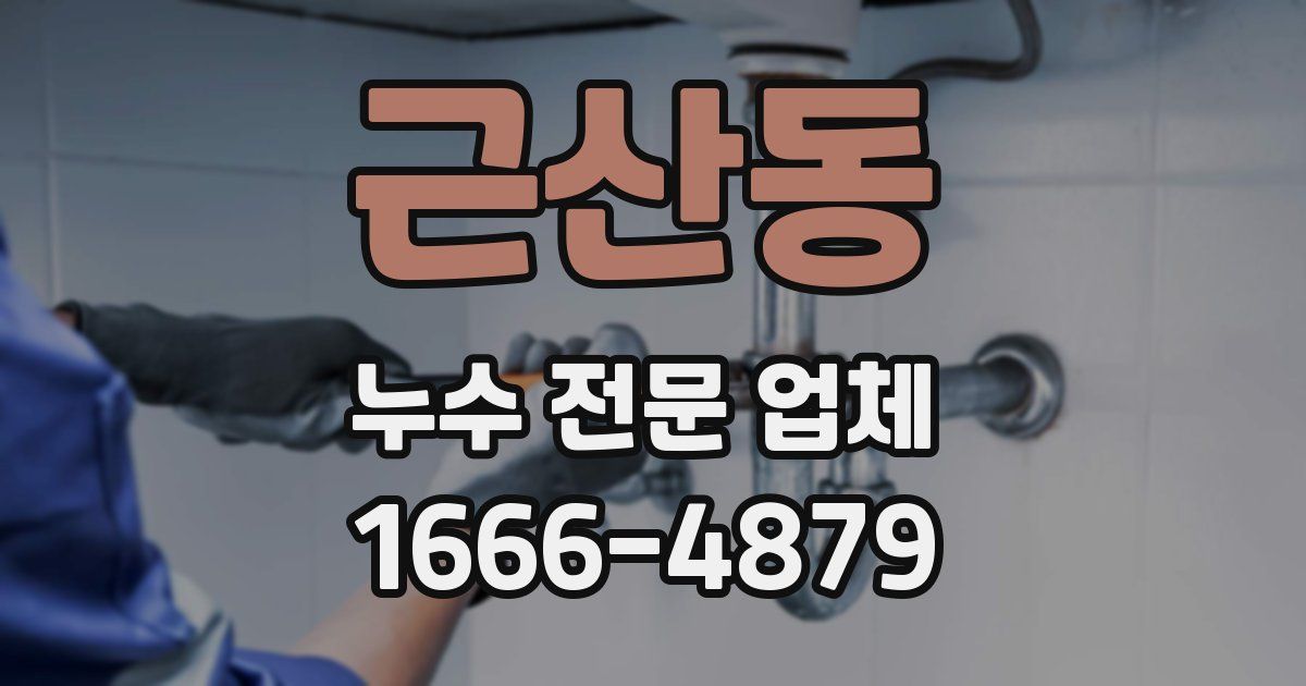근산동 누수 전문 업체