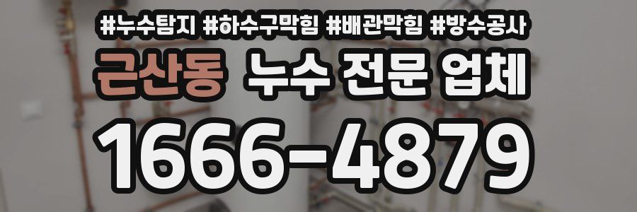 근산동 누수 전문 업체