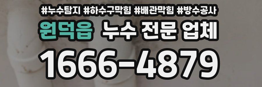 원덕읍 누수 전문 업체