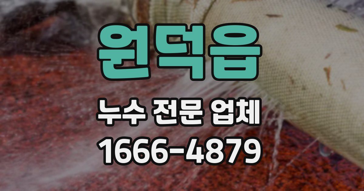 원덕읍 누수 전문 업체