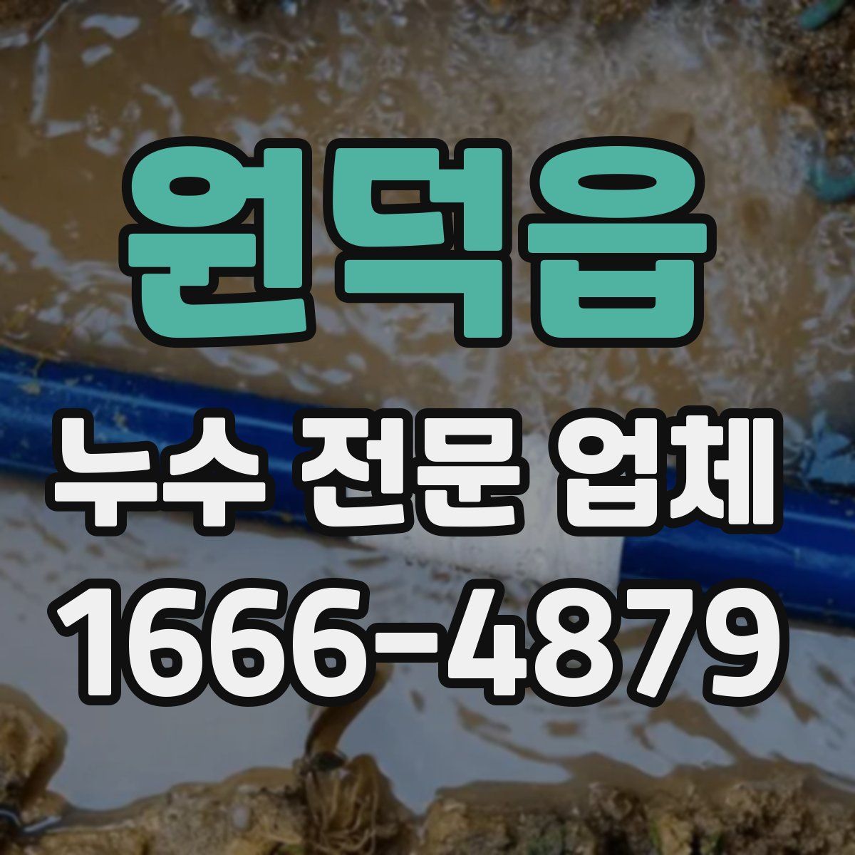 원덕읍 누수 전문 업체