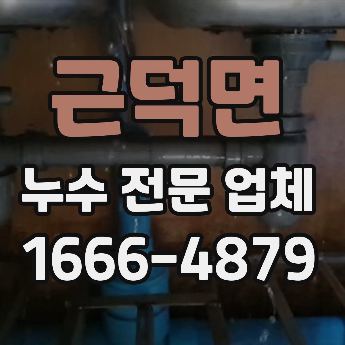 근덕면 누수 전문 업체