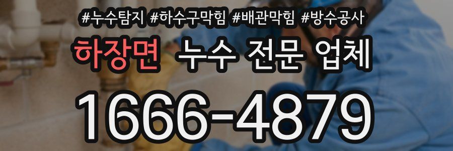 하장면 누수 전문 업체