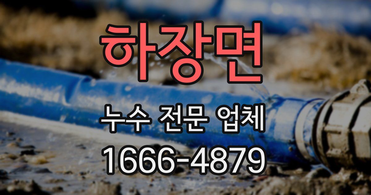 하장면 누수 전문 업체