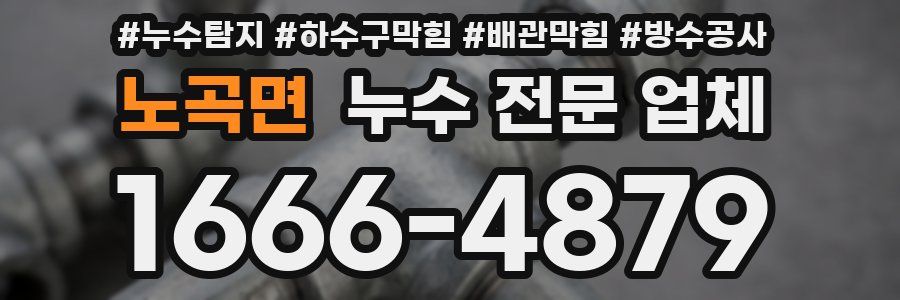 노곡면 누수 전문 업체