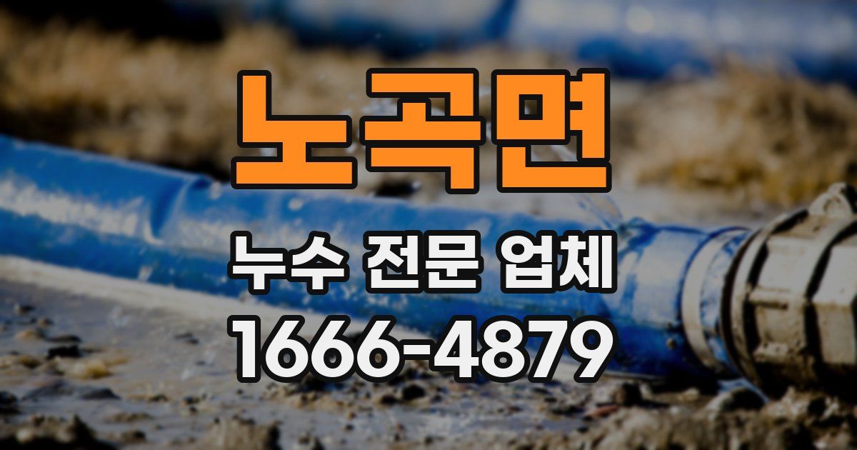 노곡면 누수 전문 업체