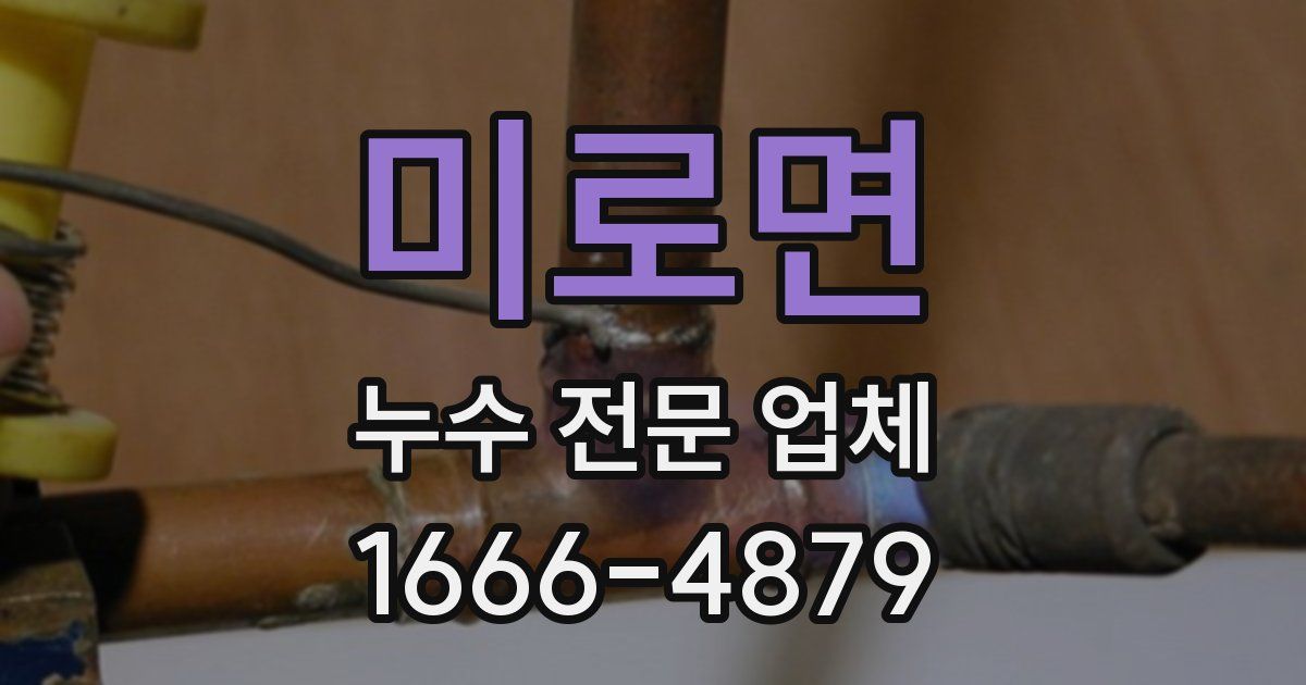 미로면 누수 전문 업체
