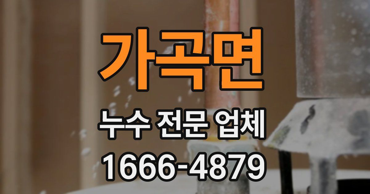 가곡면 누수 전문 업체