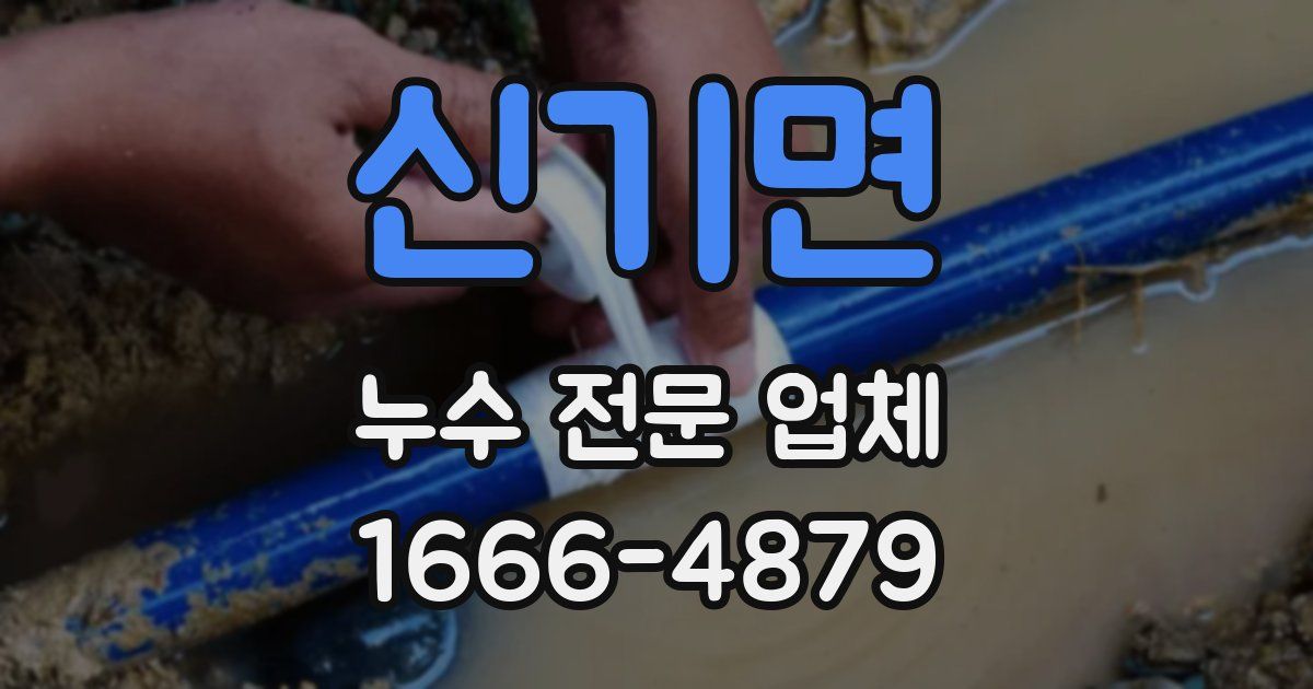 신기면 누수 전문 업체