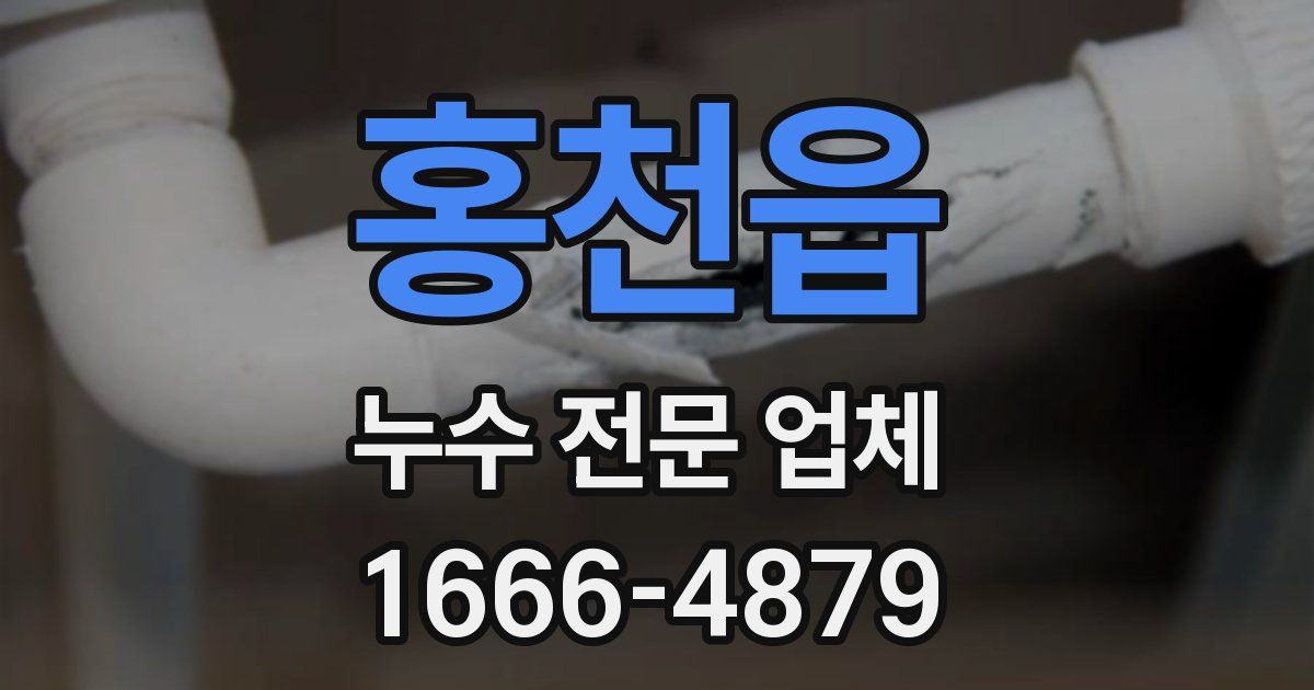 홍천읍 누수 전문 업체