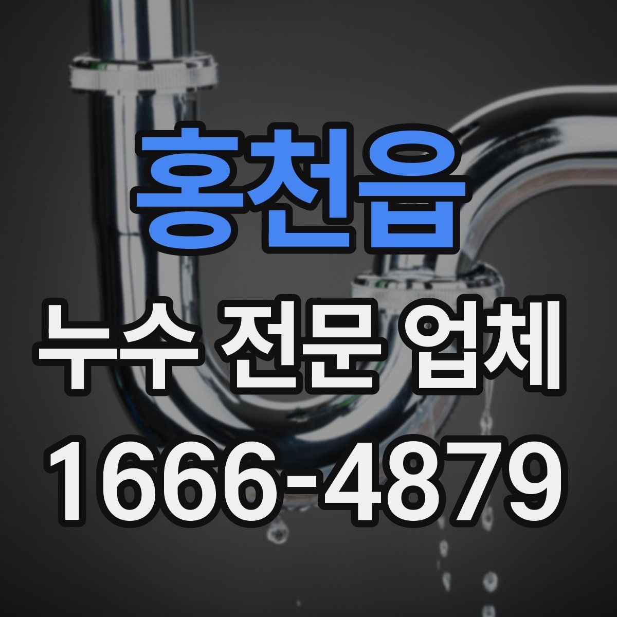 홍천읍 누수 전문 업체