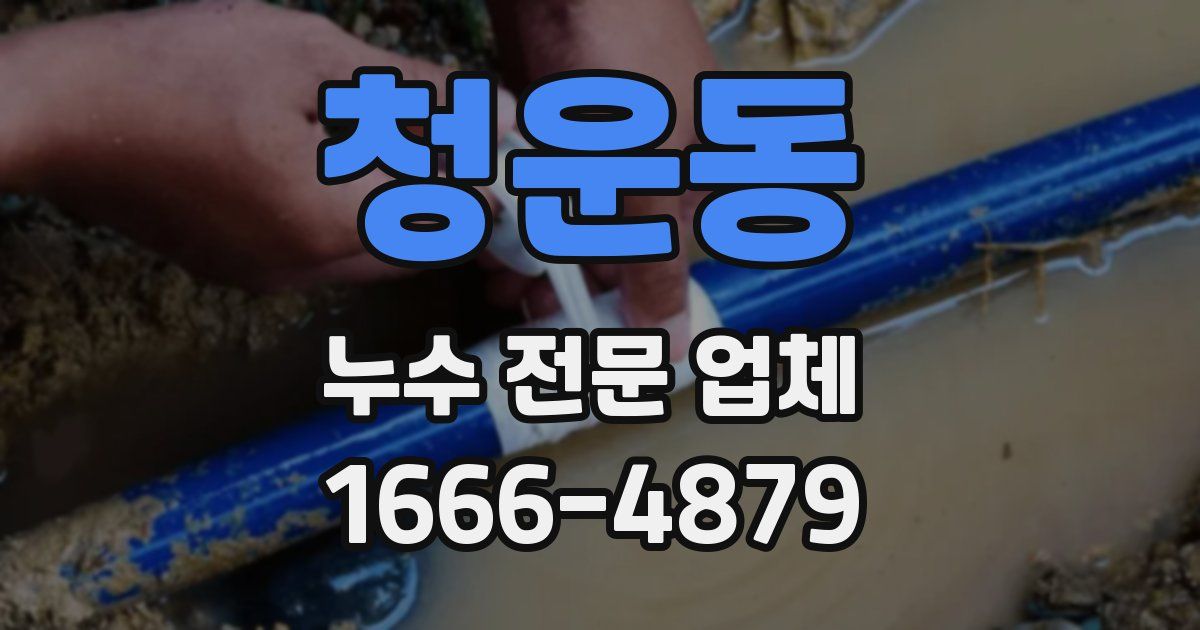 청운동 누수 전문 업체