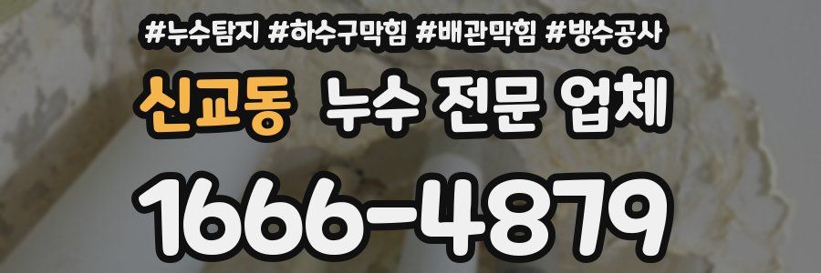 신교동 누수 전문 업체
