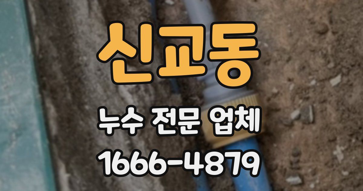 신교동 누수 전문 업체