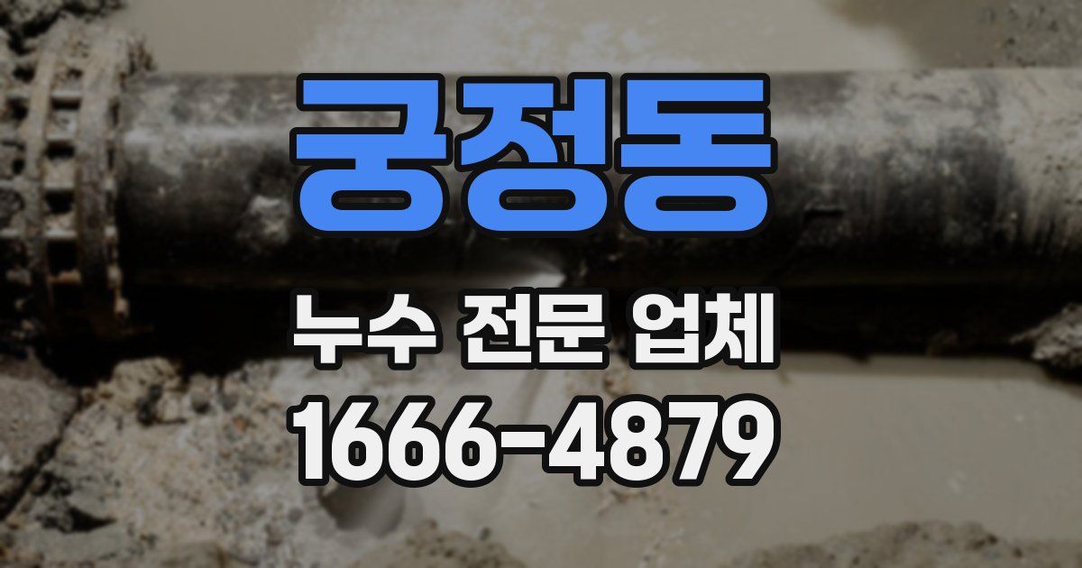 궁정동 누수 전문 업체