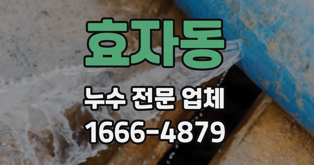 효자동 누수 전문 업체