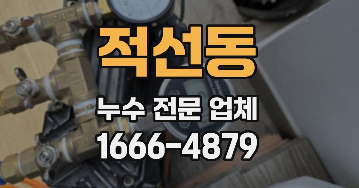 적선동 누수 전문 업체