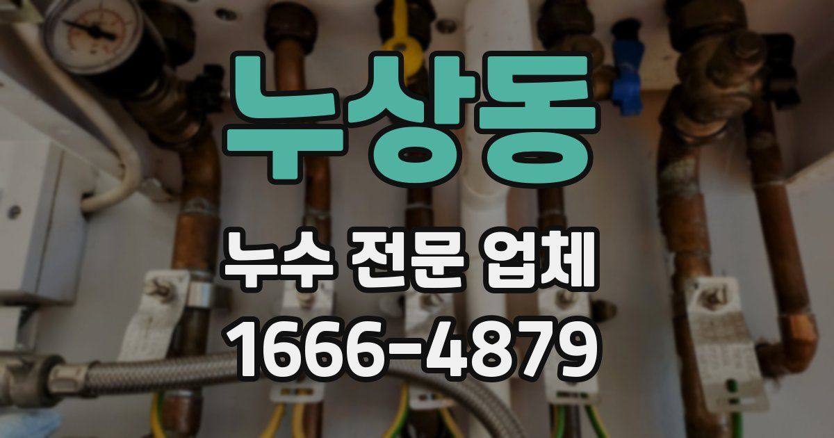 누상동 누수 전문 업체