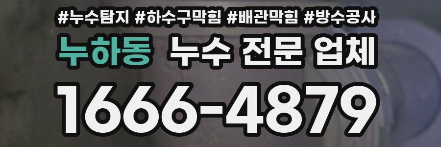 누하동 누수 전문 업체