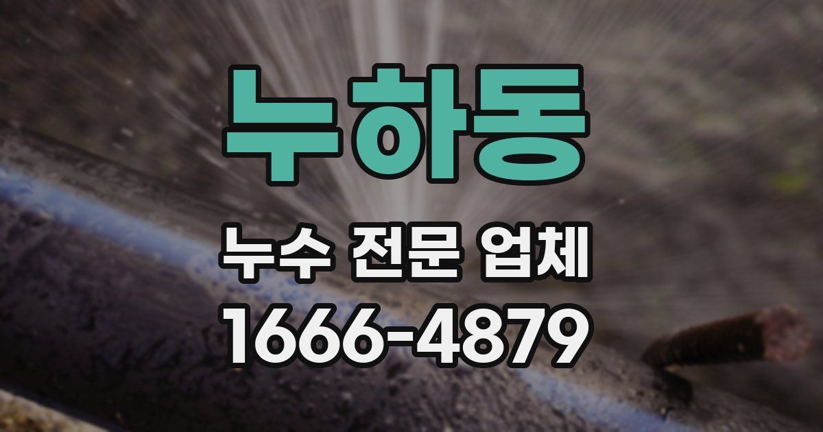 누하동 누수 전문 업체