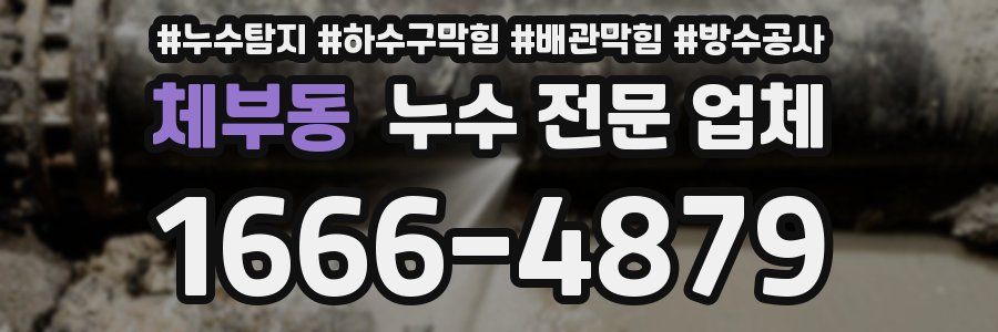 체부동 누수 전문 업체