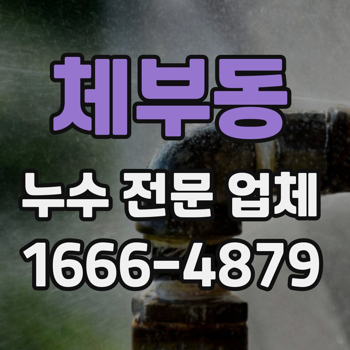체부동 누수 전문 업체