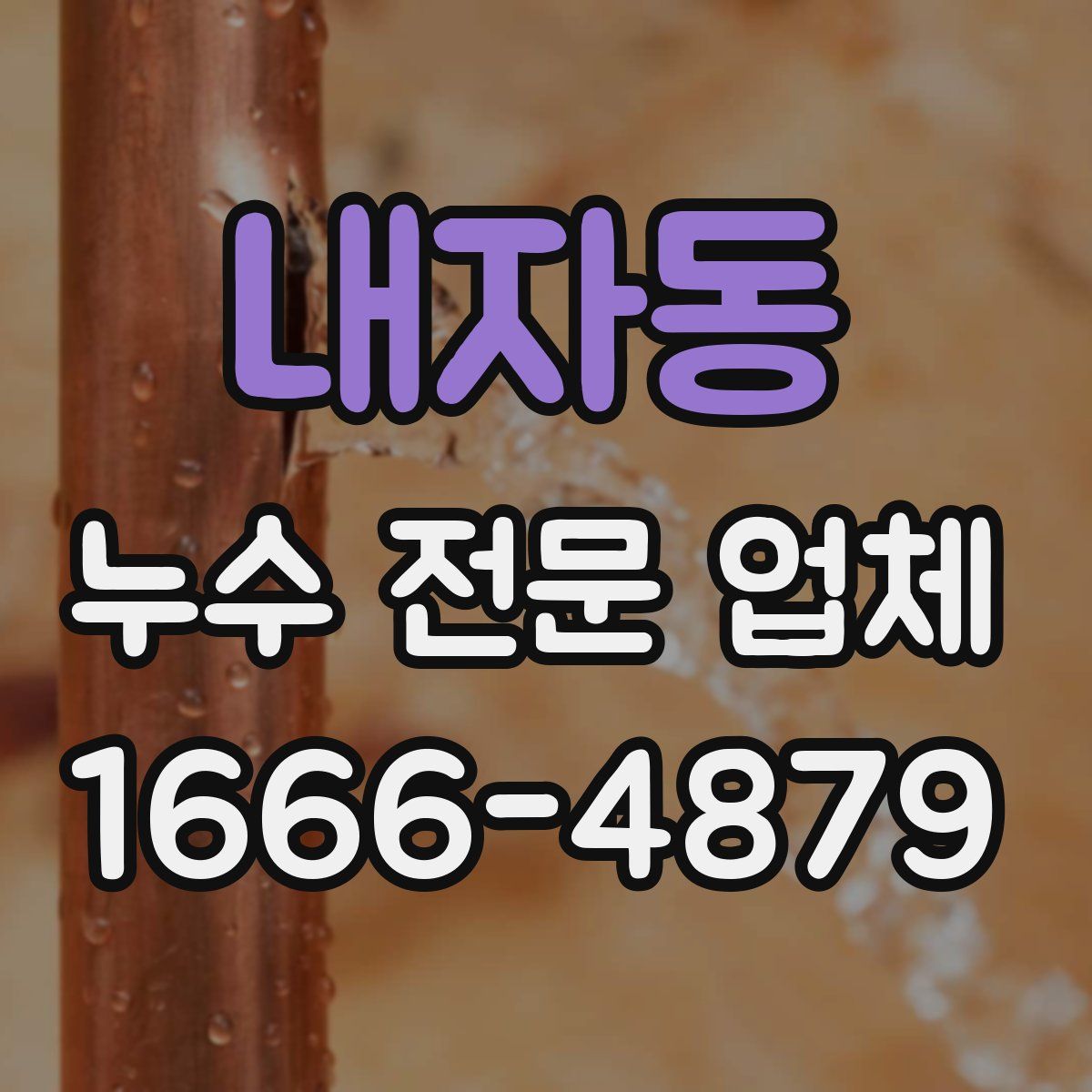 내자동 누수 전문 업체