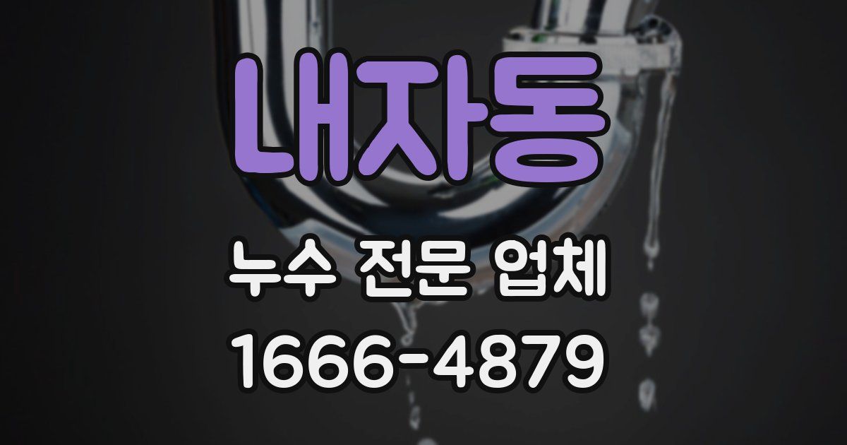 내자동 누수 전문 업체