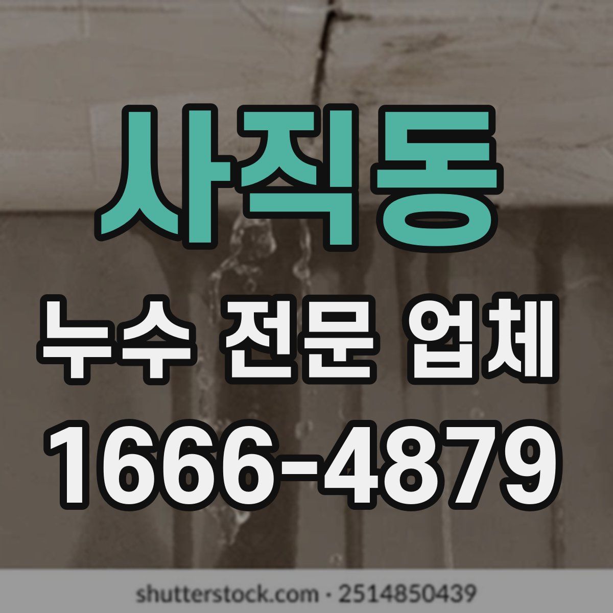 사직동 누수 전문 업체