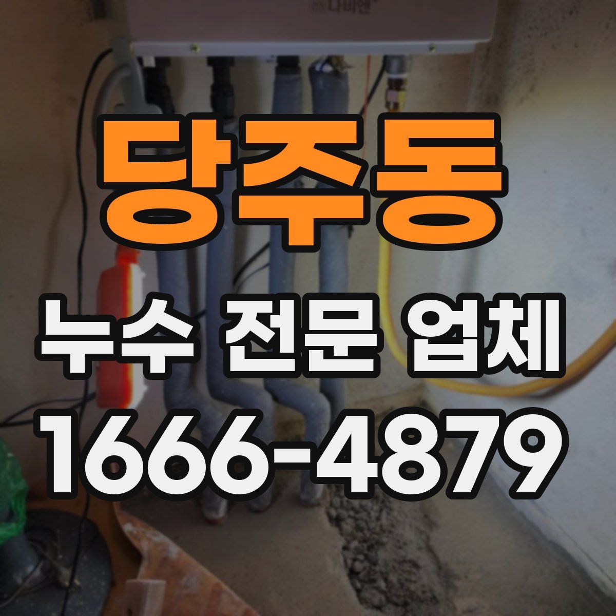 당주동 누수 전문 업체