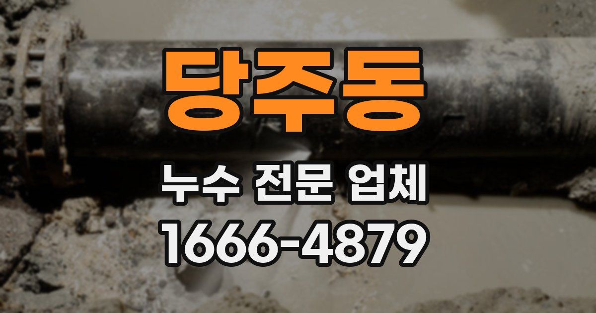 당주동 누수 전문 업체