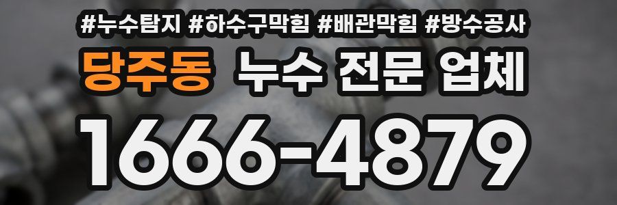 당주동 누수 전문 업체