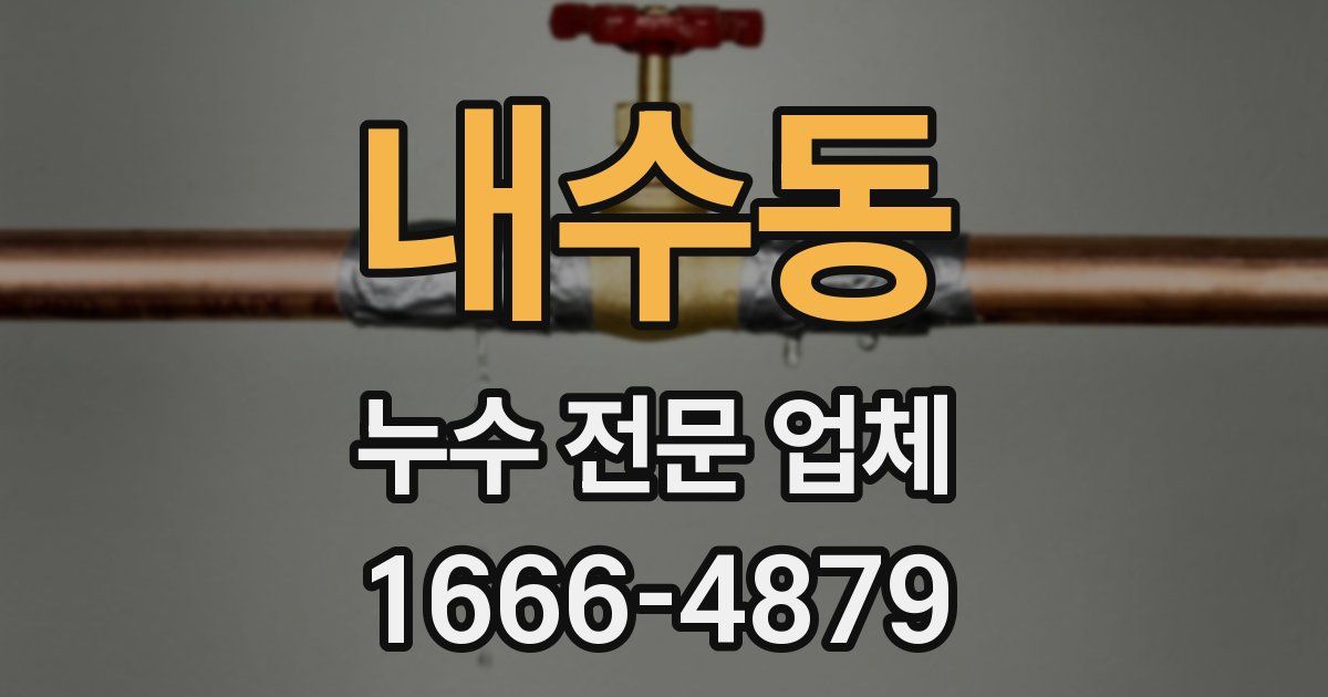 내수동 누수 전문 업체