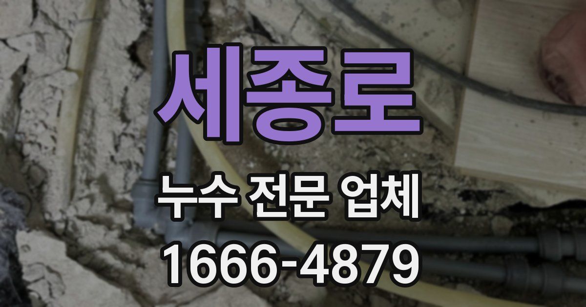 세종로 누수 전문 업체