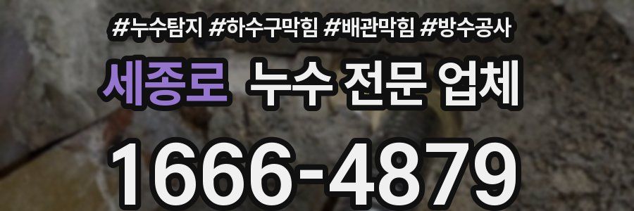 세종로 누수 전문 업체