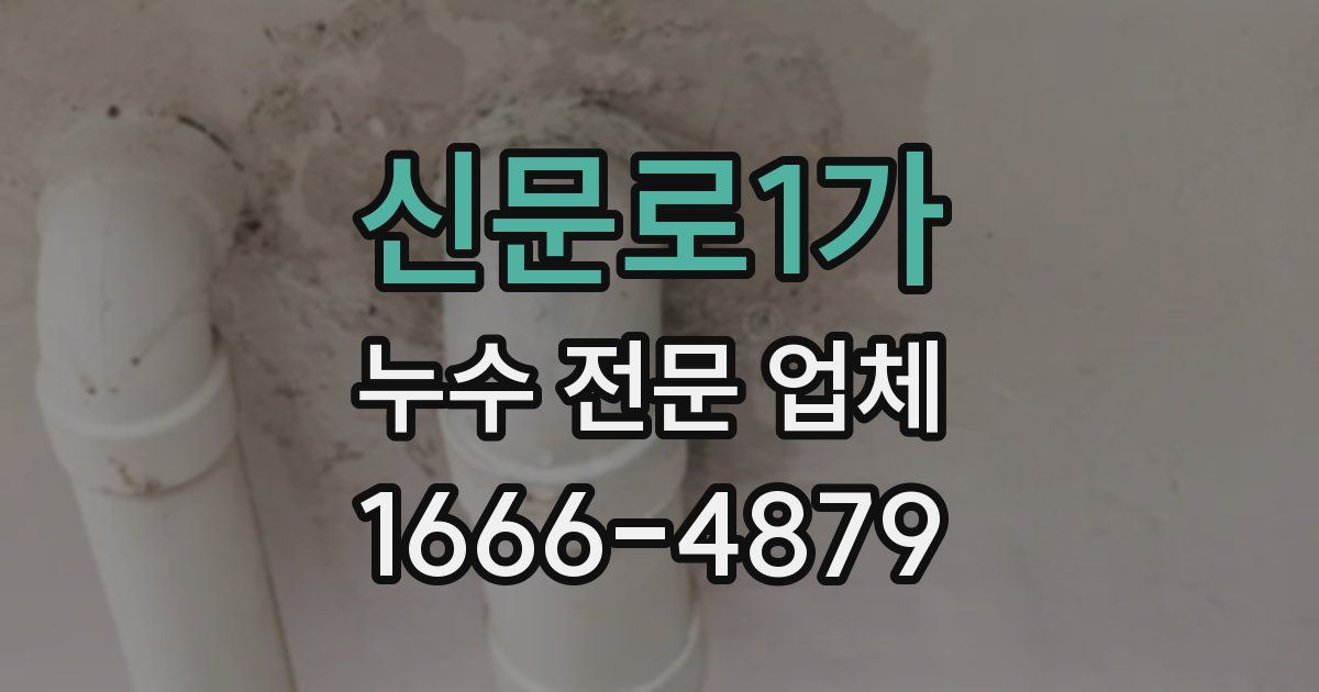 신문로1가 누수 전문 업체