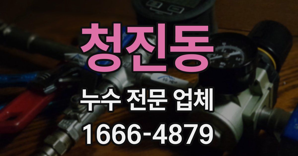 청진동 누수 전문 업체