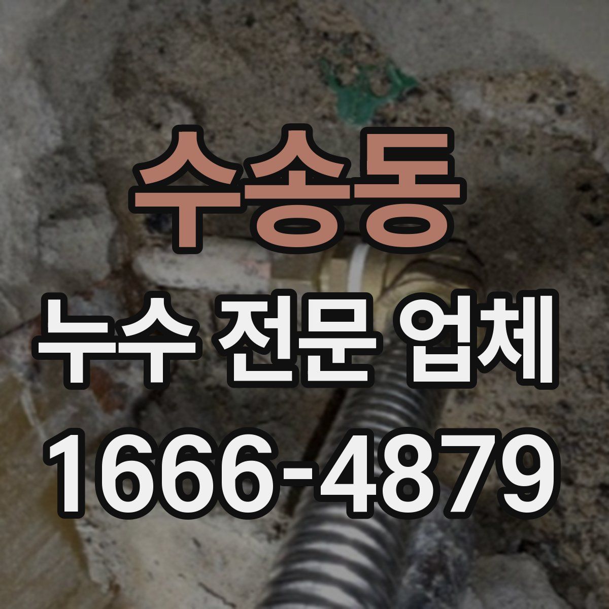 수송동 누수 전문 업체
