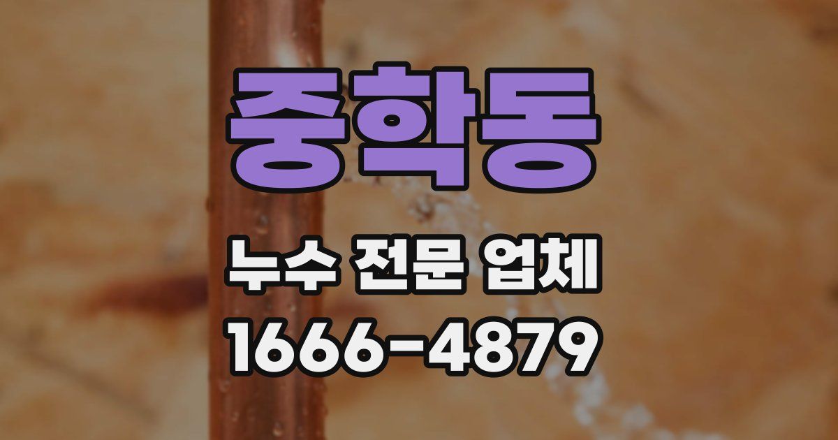 중학동 누수 전문 업체