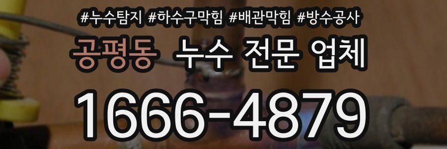 공평동 누수 전문 업체