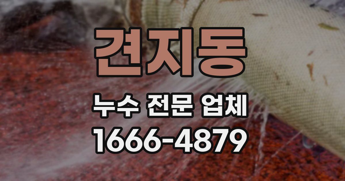 견지동 누수 전문 업체