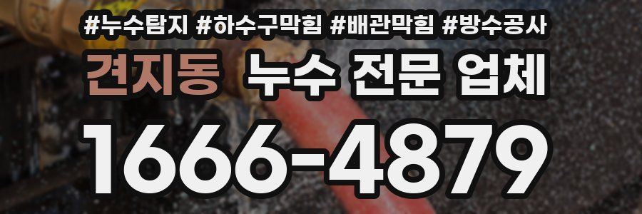 견지동 누수 전문 업체