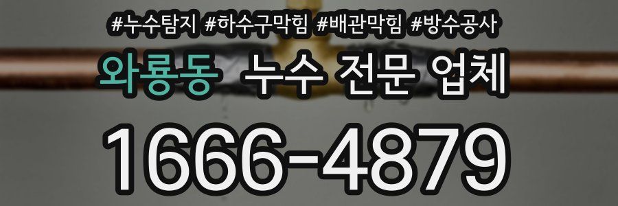 와룡동 누수 전문 업체