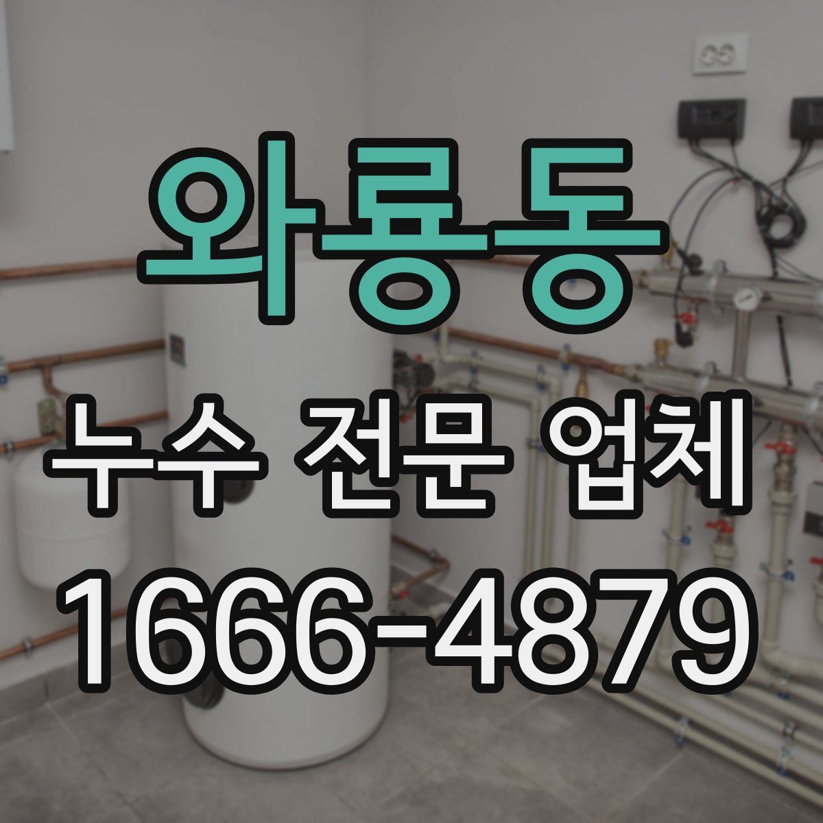 와룡동 누수 전문 업체