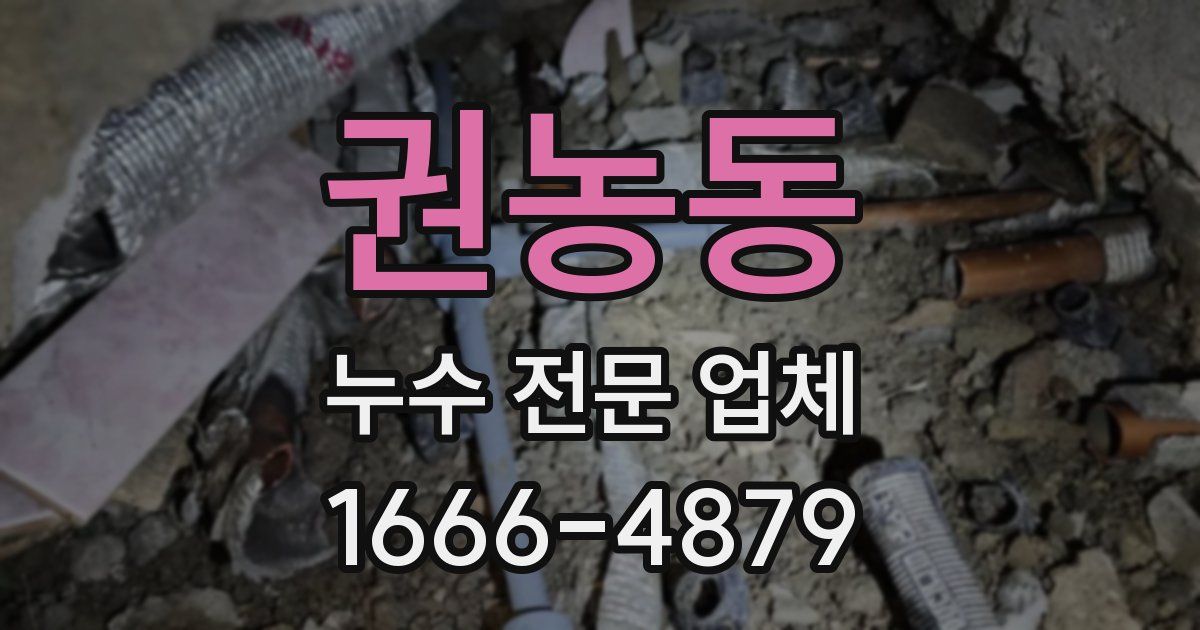 권농동 누수 전문 업체