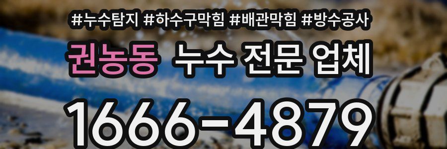 권농동 누수 전문 업체
