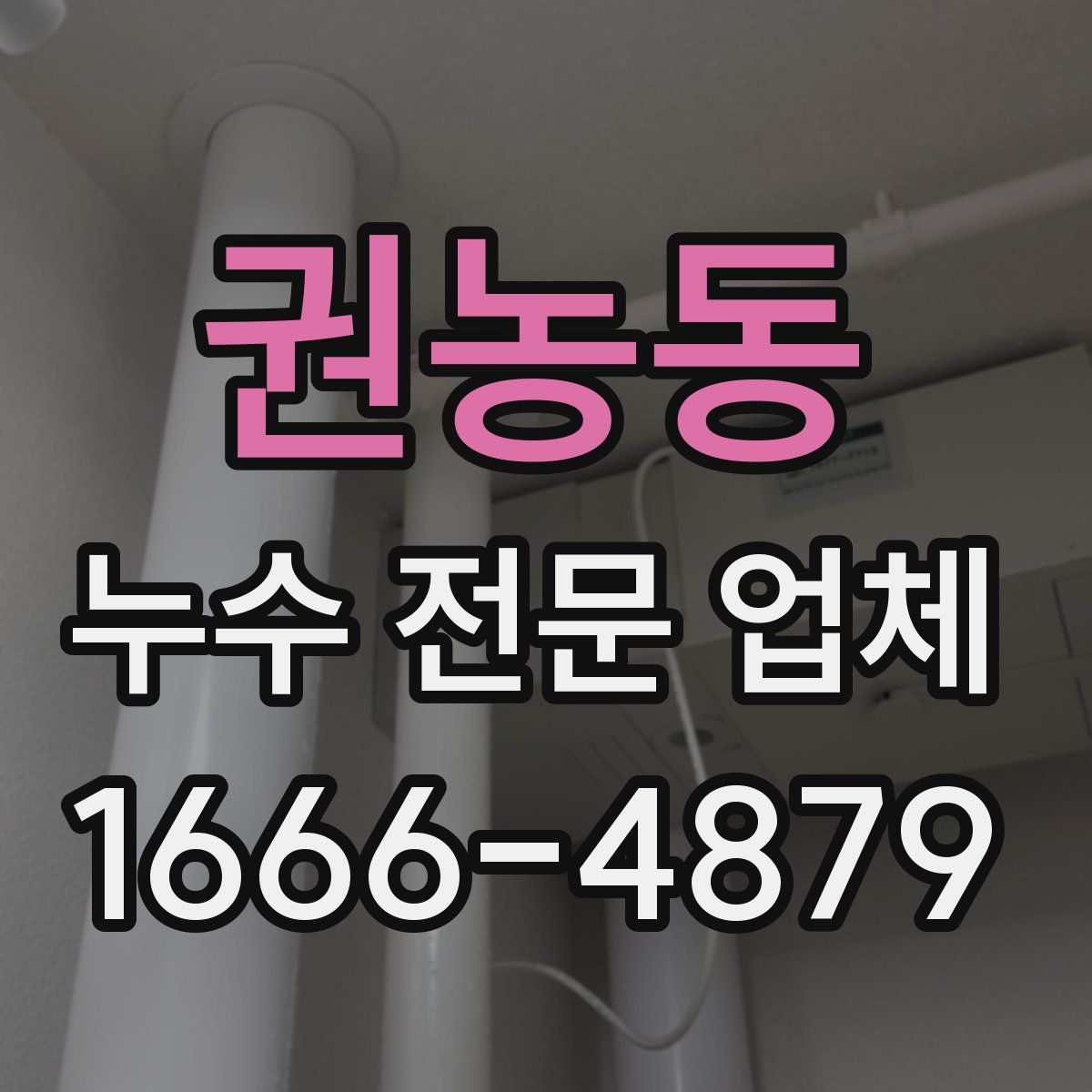 권농동 누수 전문 업체