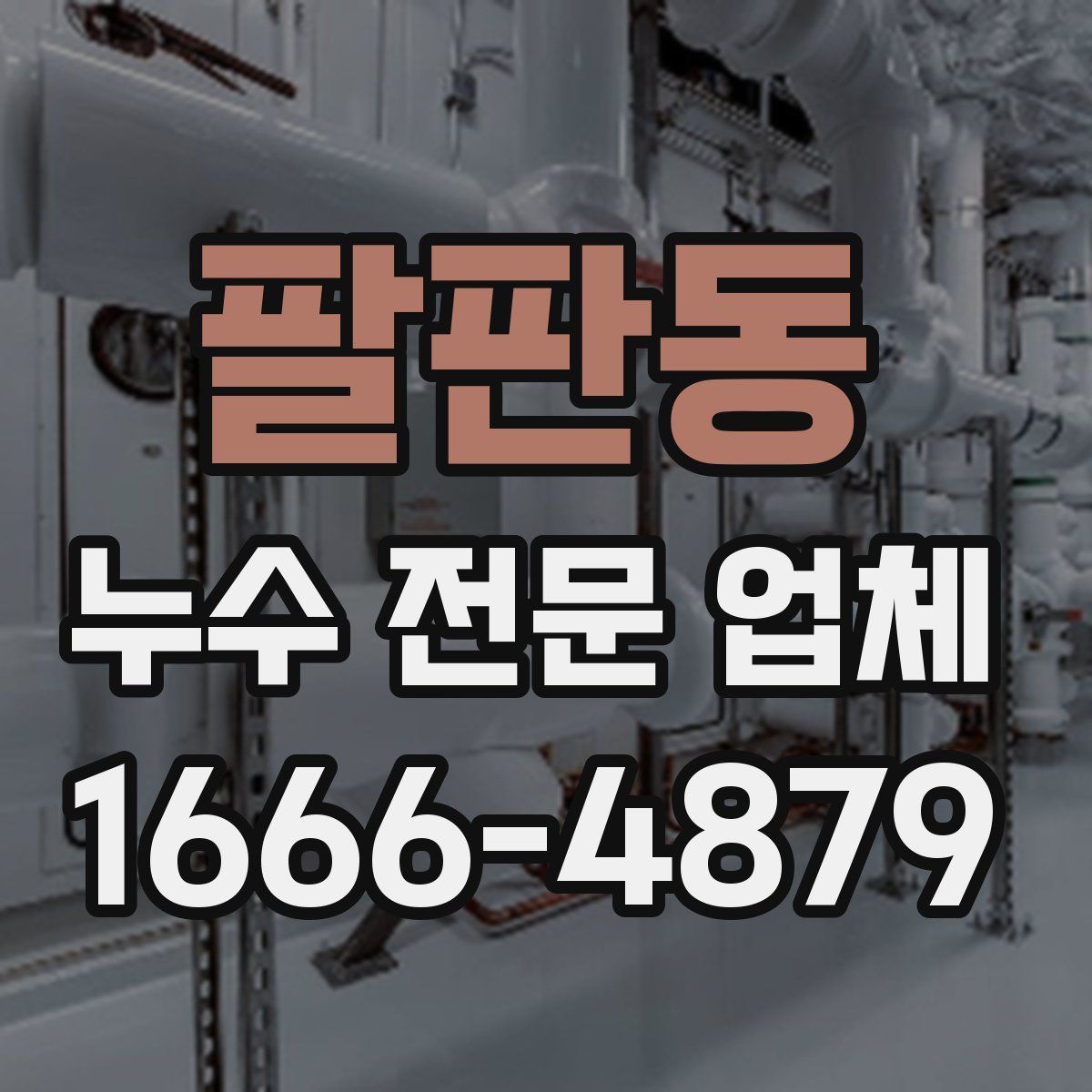 팔판동 누수 전문 업체